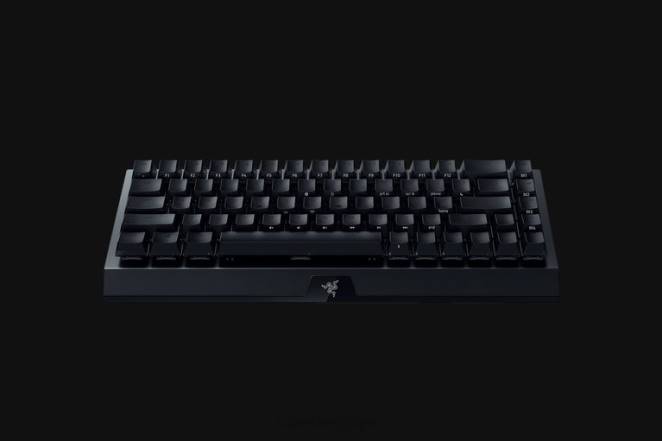 Razer clavier noir blackwidow v3 mini hyperspeed - édition fantôme - commutateur jaune - nous F8BX64