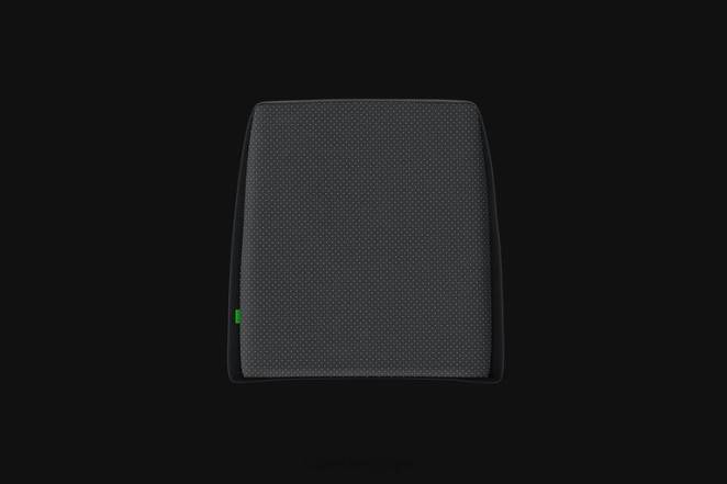 Razer chaise de jeu une couleur coussin lombaire F8BX146